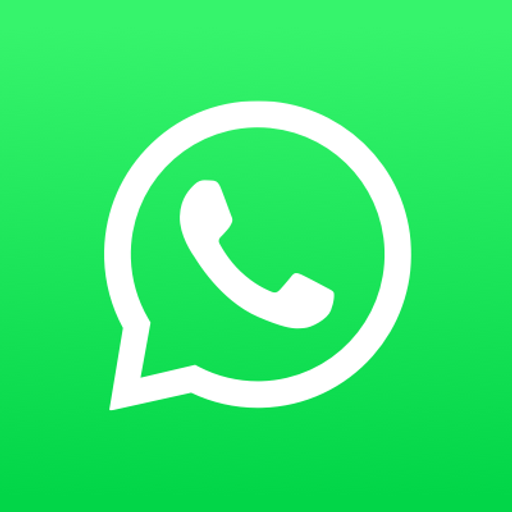 WhatsApp chat video
